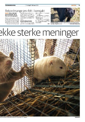 telemarksavisa_seksjon-20250219_000_00_00_015.pdf