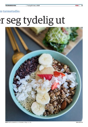 telemarksavisa_seksjon-20250228_000_00_00_013.pdf