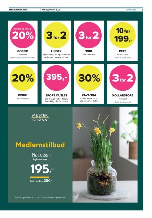 telemarksavisa_seksjon-20250319_000_00_00_009.pdf