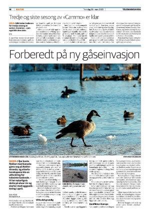 telemarksavisa_seksjon-20250320_000_00_00_016.pdf