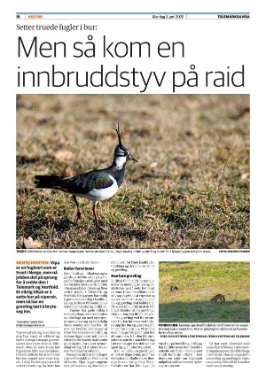 telemarksavisa_seksjon-20250602_000_00_00_018.pdf