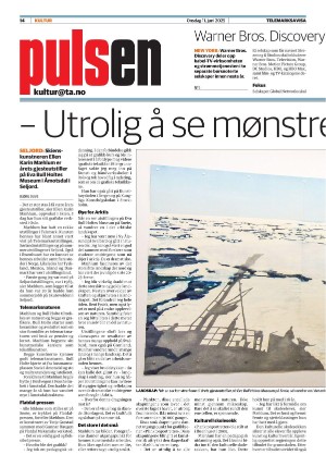 telemarksavisa_seksjon-20250611_000_00_00_014.pdf