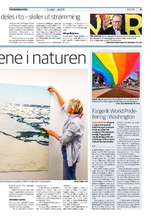 telemarksavisa_seksjon-20250611_000_00_00_015.pdf