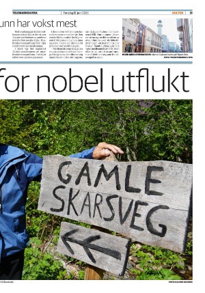 telemarksavisa_seksjon-20250612_000_00_00_015.pdf
