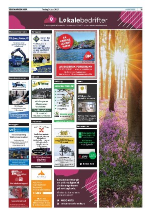 telemarksavisa_seksjon-20250624_000_00_00_011.pdf