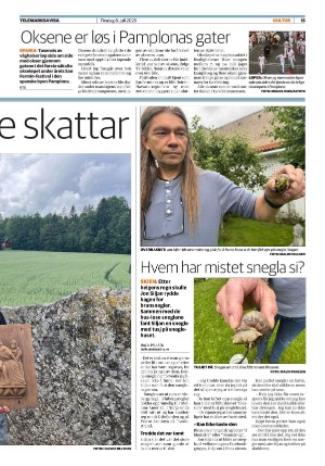 telemarksavisa_seksjon-20250708_000_00_00_015.pdf