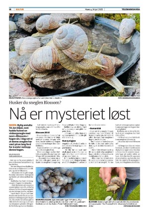 telemarksavisa_seksjon-20250714_000_00_00_018.pdf