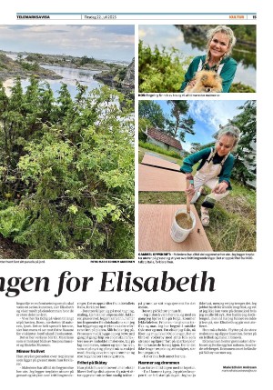 telemarksavisa_seksjon-20250722_000_00_00_015.pdf