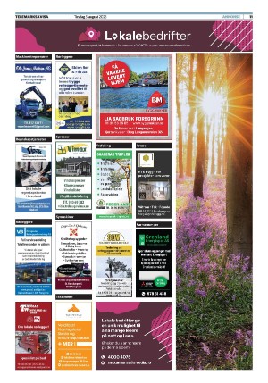 telemarksavisa_seksjon-20250805_000_00_00_011.pdf