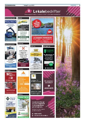 telemarksavisa_seksjon-20250812_000_00_00_009.pdf