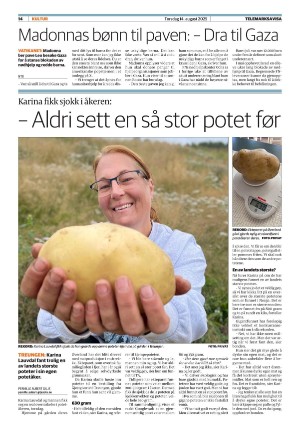telemarksavisa_seksjon-20250814_000_00_00_014.pdf