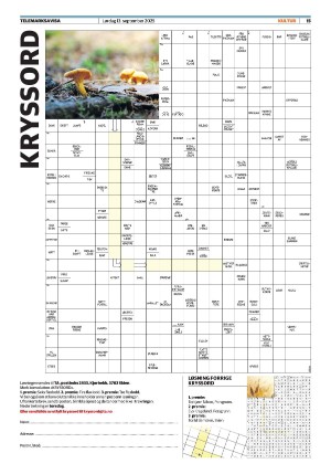 telemarksavisa_seksjon-20250913_000_00_00_015.pdf