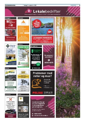telemarksavisa_seksjon-20250923_000_00_00_011.pdf