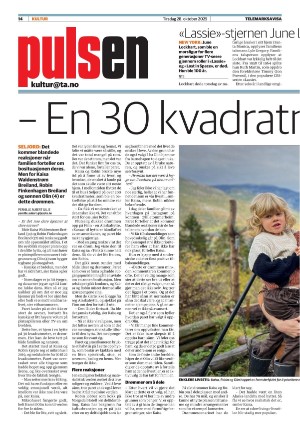 telemarksavisa_seksjon-20251028_000_00_00_014.pdf