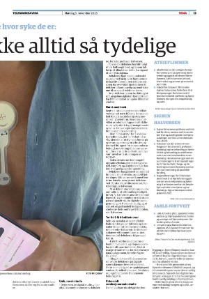 telemarksavisa_seksjon-20251103_000_00_00_013.pdf