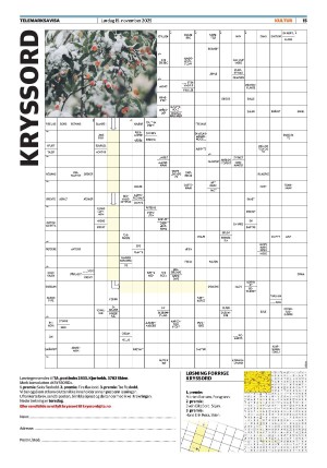 telemarksavisa_seksjon-20251115_000_00_00_015.pdf