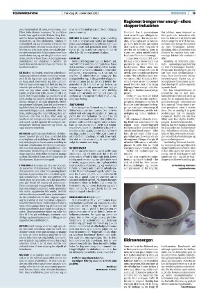 telemarksavisa_seksjon-20251120_000_00_00_013.pdf