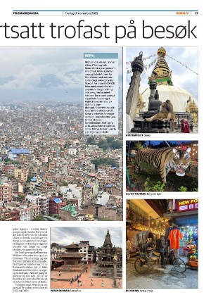 telemarksavisa_seksjon-20251121_000_00_00_017.pdf