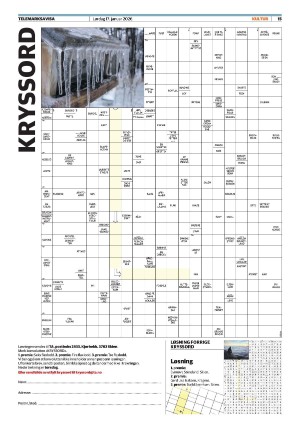 telemarksavisa_seksjon-20260117_000_00_00_015.pdf