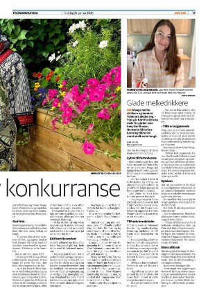 telemarksavisa_seksjon-20260128_000_00_00_017.pdf