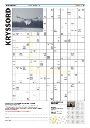 telemarksavisa_seksjon-20260207_000_00_00_015.pdf