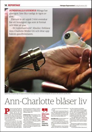 tidningenangermanland-20151028_000_00_00_014.pdf
