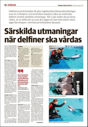 tidningenangermanland-20190814_000_00_00_014.pdf