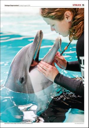 tidningenangermanland-20190814_000_00_00_015.pdf