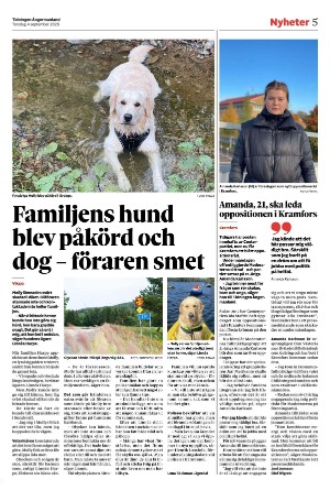 tidningenangermanland-20250904_000_00_00_005.pdf