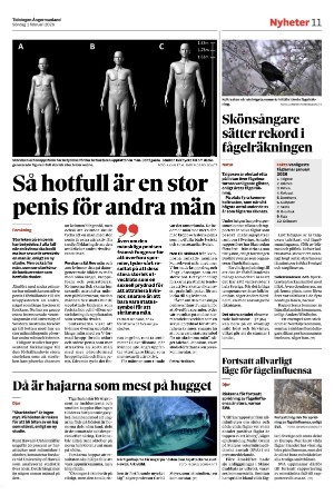 tidningenangermanland-20260201_000_00_00_011.pdf