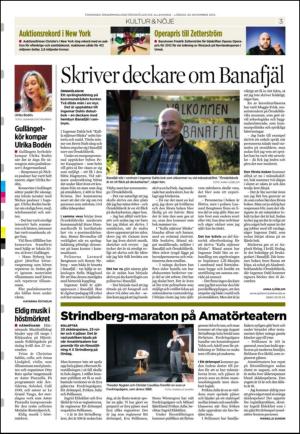 tidningenangermanland_b-20121124_000_00_00_003.pdf