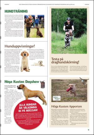 tidningenangermanland_b-20130619_000_00_00_011.pdf