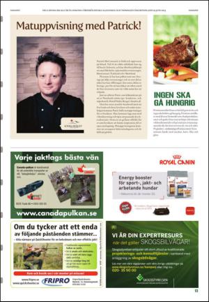 tidningenangermanland_b-20130619_000_00_00_013.pdf