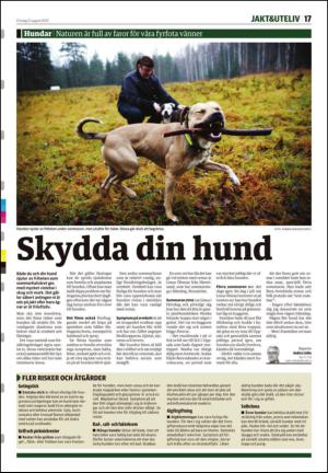 tidningenangermanland_b-20130821_000_00_00_017.pdf