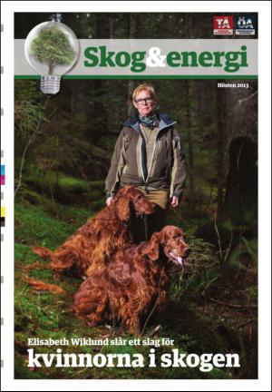 Tidningen Ångermanland Section 2013-11-20
