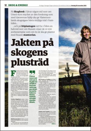 tidningenangermanland_b-20131120_000_00_00_012.pdf