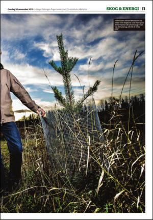 tidningenangermanland_b-20131120_000_00_00_013.pdf