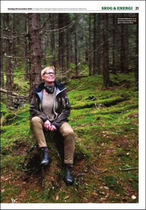 tidningenangermanland_b-20131120_000_00_00_021.pdf