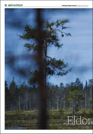 tidningenangermanland_b-20140822_000_00_00_012.pdf