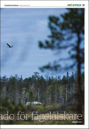 tidningenangermanland_b-20140822_000_00_00_013.pdf