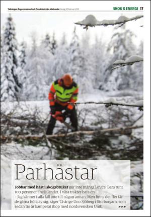 tidningenangermanland_d-20150220_000_00_00_017.pdf