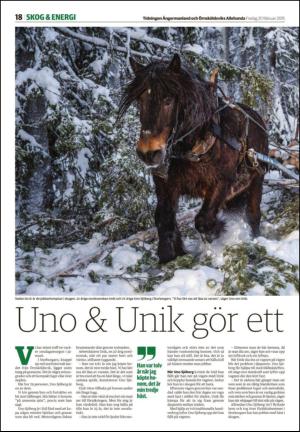 tidningenangermanland_d-20150220_000_00_00_018.pdf