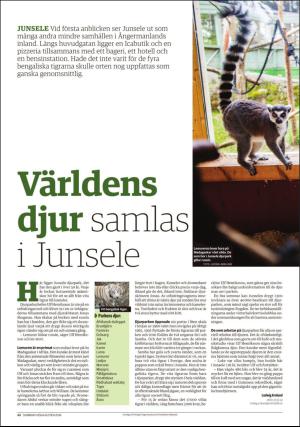 tidningenangermanland_d-20160616_000_00_00_042.pdf