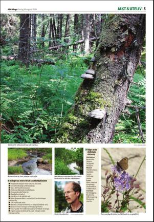tidningenangermanland_d-20160819_000_00_00_005.pdf