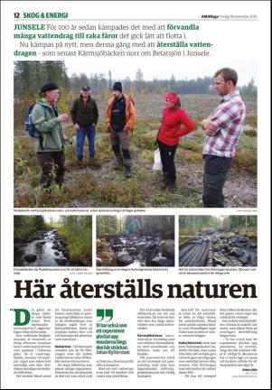 tidningenangermanland_d-20161118_000_00_00_012.pdf