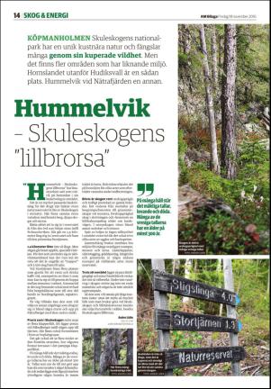 tidningenangermanland_d-20161118_000_00_00_014.pdf