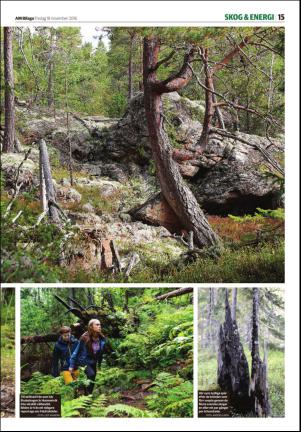 tidningenangermanland_d-20161118_000_00_00_015.pdf