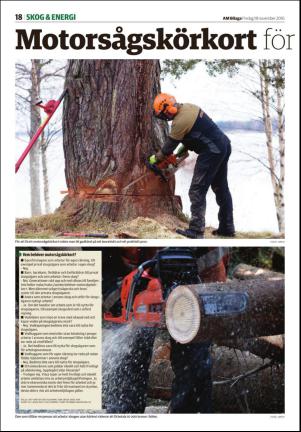 tidningenangermanland_d-20161118_000_00_00_018.pdf