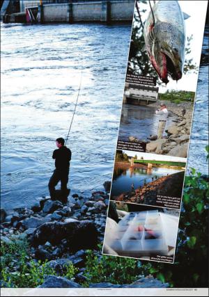 tidningenangermanland_d-20170615_000_00_00_045.pdf