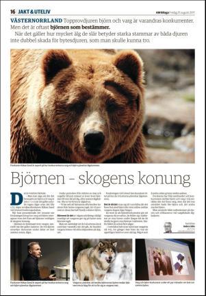 tidningenangermanland_d-20170825_000_00_00_016.pdf